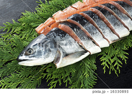 鮭 鮭 16330893