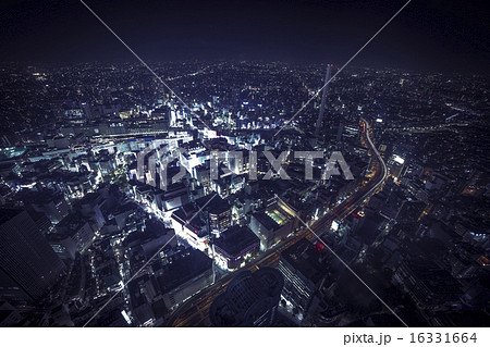 東京夜景を眺める 16331664