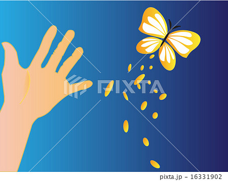 解放した蝶 解放した蝶 16331902