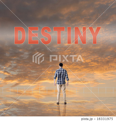 Destiny Destiny 16331975