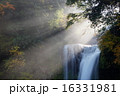 秋の慈恩の滝 16331981