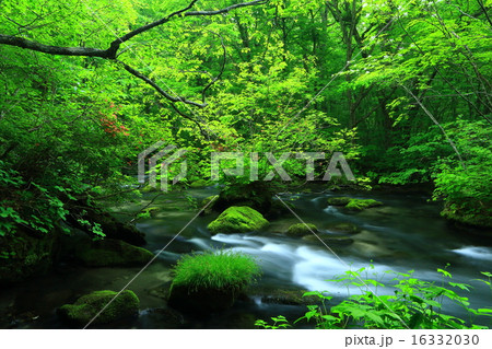 奥入瀬渓流　三乱の流れ 16332030