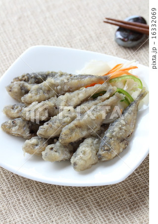 豆鯵の酢漬け 16332069