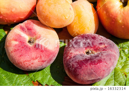 Fig peach Fig peach 16332314