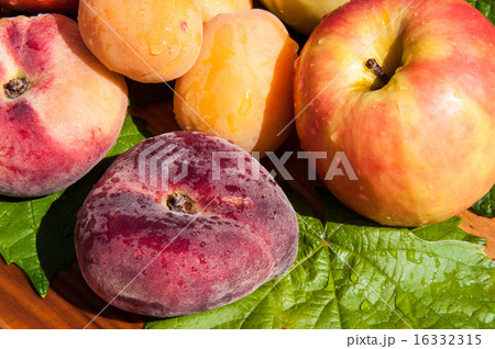Fig peach Fig peach 16332315