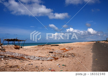 南インドの漁村 南インドの漁村 16332340