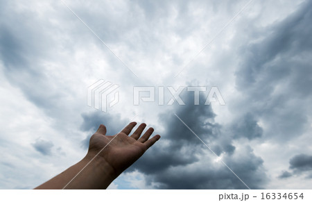 雨になってきた 16334654