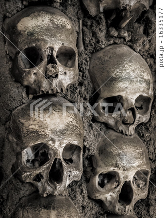 Wall full of skulls and bones 16335177