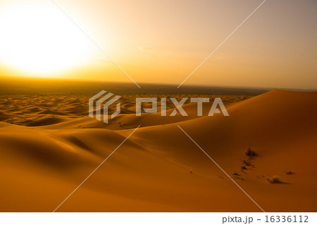 サハラ砂漠 サハラ砂漠 16336112