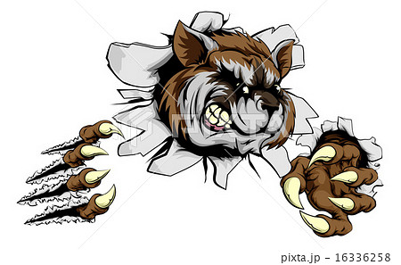 Raccoon claw breakthrough 16336258