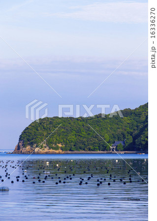 養殖イカダ宇和海 16336270