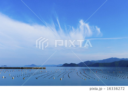 養殖イカダ宇和海 養殖イカダ宇和海 16336272