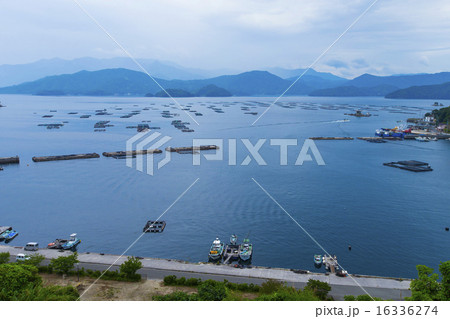 養殖イカダ宇和海 16336274