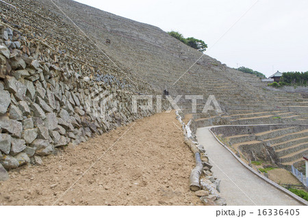 宇和島段々畑 16336405