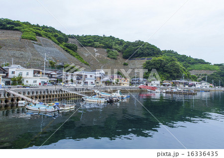 宇和島段々畑 宇和島段々畑 16336435
