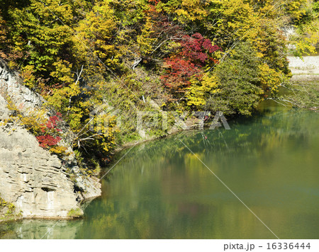 峡谷の紅葉（札幌市定山渓） 16336444