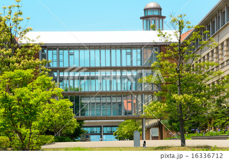 兵庫医療大学 16336712