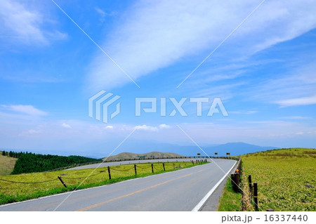 ビーナスライン (38) 16337440