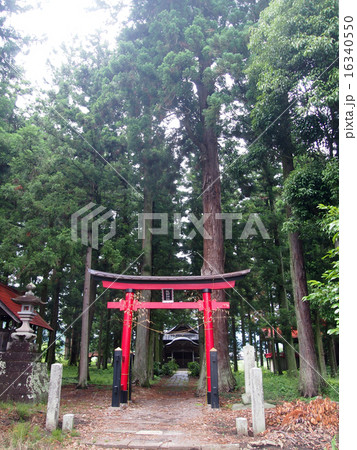 たくみの里の熊野神社 たくみの里の熊野神社 16340550