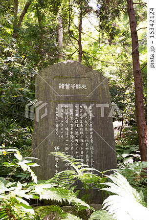 鎌倉　北条高時腹切りやぐら 16342124