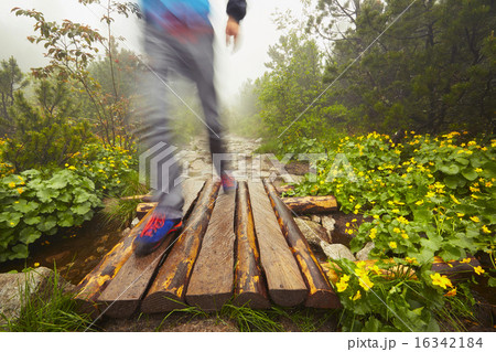 Traveler in the mountains 16342184