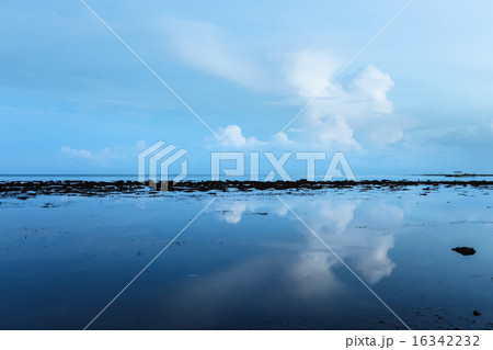 Low tide and early morning 16342232