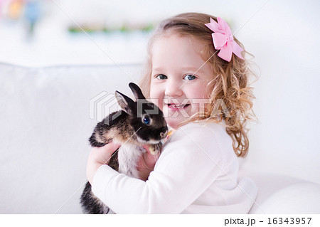Little girl playing with a real pet rabbit Little girl playing with a real pet rabbit 16343957