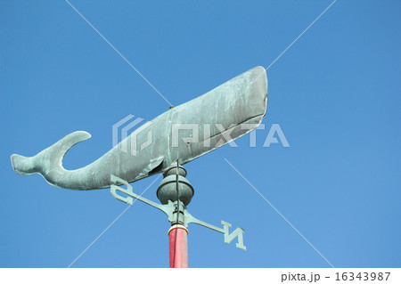 クジラの風見鶏 16343987
