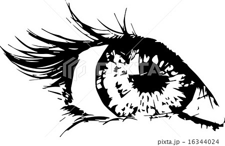 Woman eye 16344024