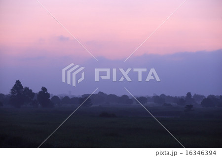 朝霧の渡良瀬遊水地 16346394