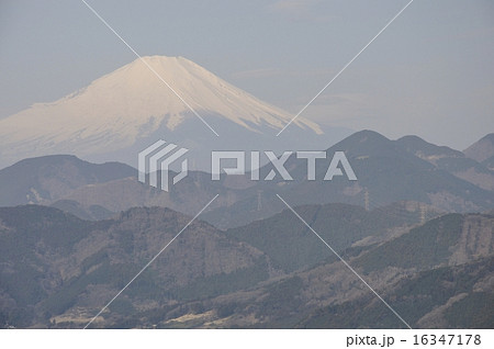 菜の花台より富士山 菜の花台より富士山 16347178