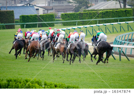 競馬(芝コース) 16347874