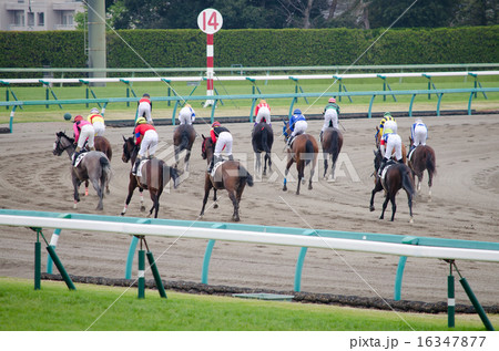 競馬(ダートコース) 競馬(ダートコース) 16347877
