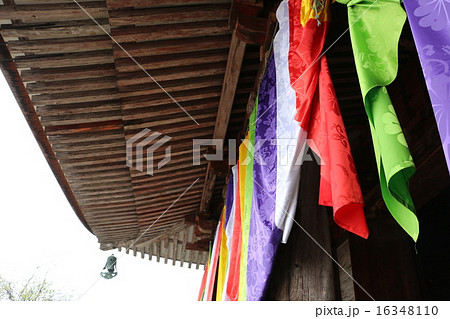 春の吉野山　金峯山寺の蔵王堂 16348110