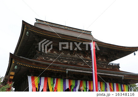 春の吉野山　金峯山寺の蔵王堂 16348116