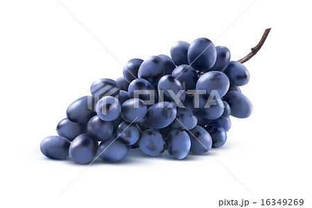 Blue grapes bunch no leaf isolated on white 16349269