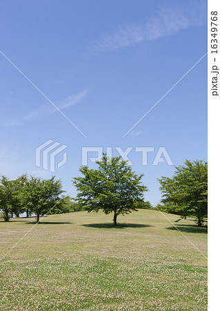 丘のある風景 16349768