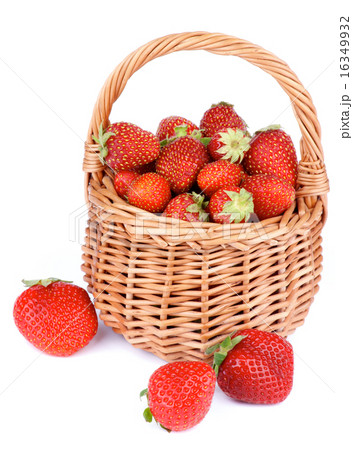 Forest Strawberries Forest Strawberries 16349932
