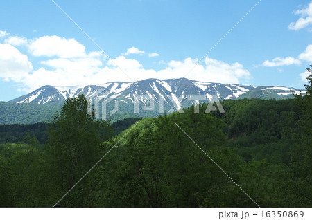 初夏の大雪山 16350869