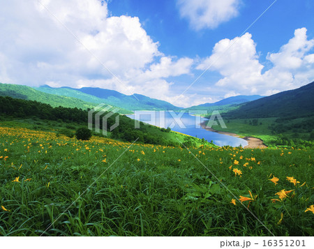 野反湖の夏 野反湖の夏 16351201