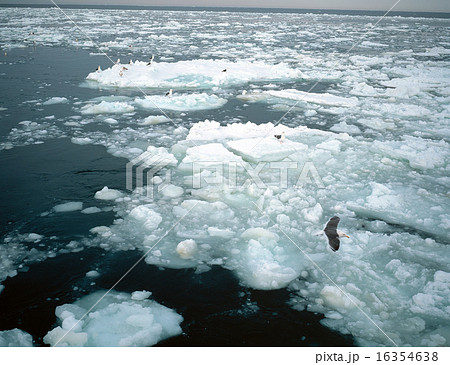 流氷 16354638