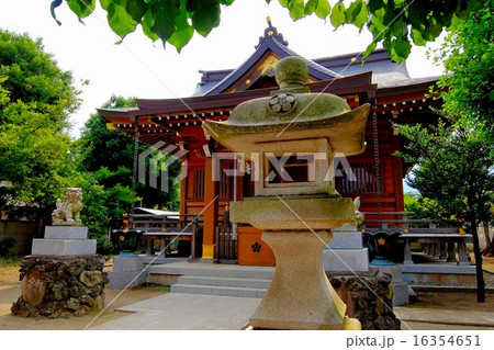 鎮守 (11) 16354651