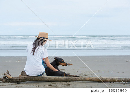 愛犬と砂浜に座る女性 16355940