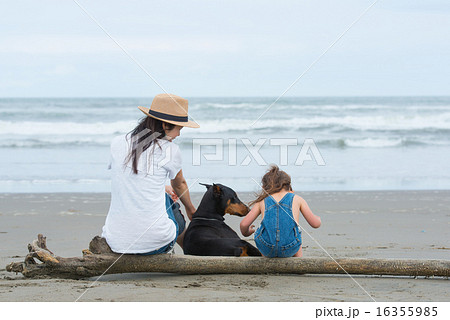 砂浜に座る母と娘と愛犬 16355985