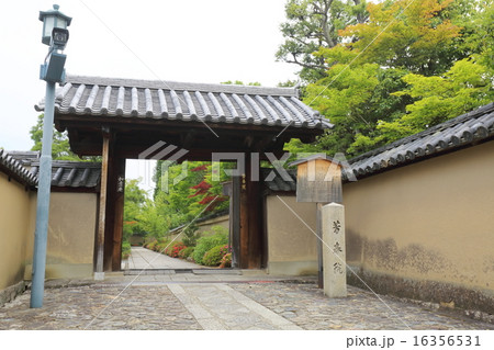 京都 大徳寺 芳春院 京都 大徳寺 芳春院 16356531