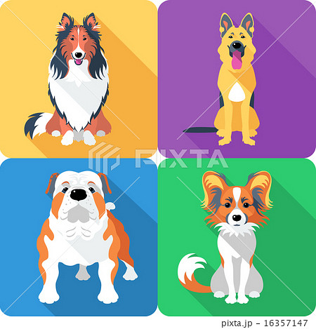 Set dog head icon flat design Set dog head icon flat design 16357147