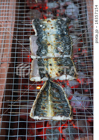 うなぎの蒲焼 16357154