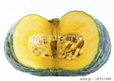 夏野菜　カボチャ 16357486