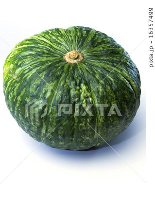 夏野菜 カボチャ 夏野菜 カボチャ 16357499