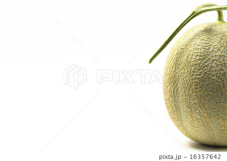 くだもの　食べ頃の完熟メロン 品種:夕張メロン 16357642
